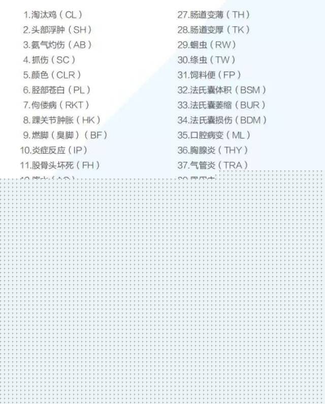 兔八哥之兔子快跑