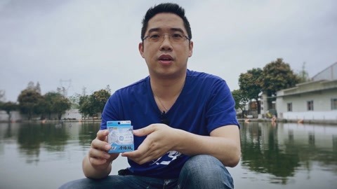 凤凰城遗忘录（国语版）