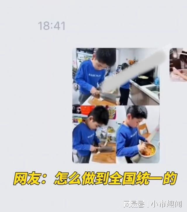 养家之人(国语版)