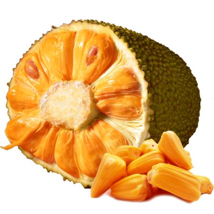 全职猎人剧场版：绯色的幻影