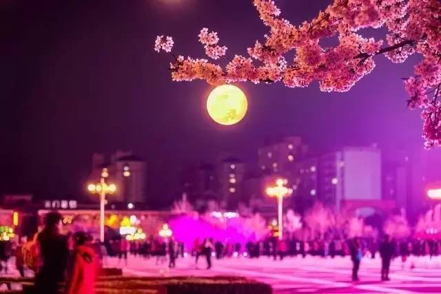 再见妈咪（国语版）