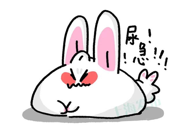 八面玲珑的申小姐